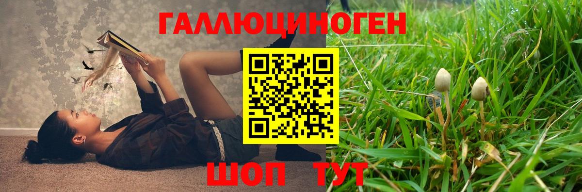 Кстово  Галлюциногенные грибы Psilocybine cubensis  Вход с VPN  купить   Галлюциногенные грибы мухоморы 